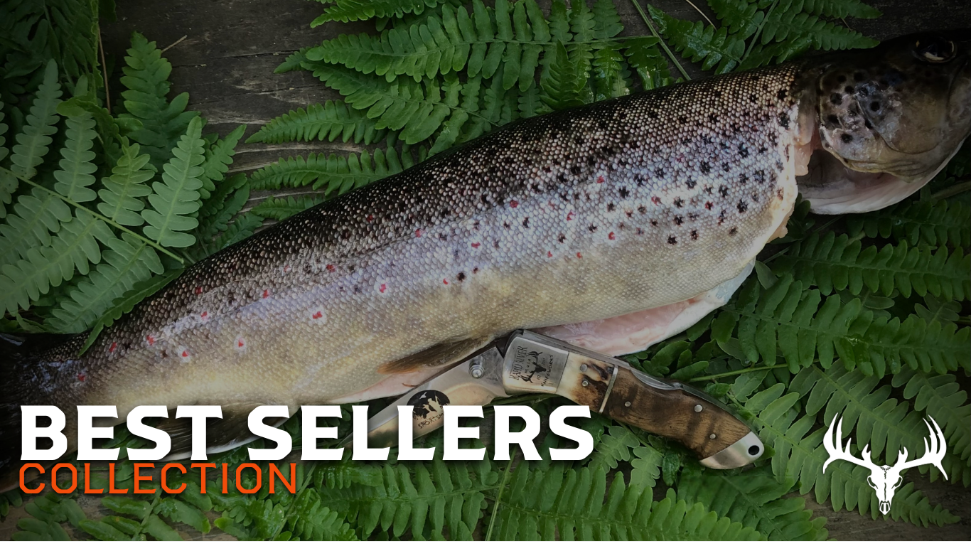 Best Sellers