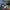 Fishing Knives