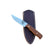Royal 7 Hunting Knife